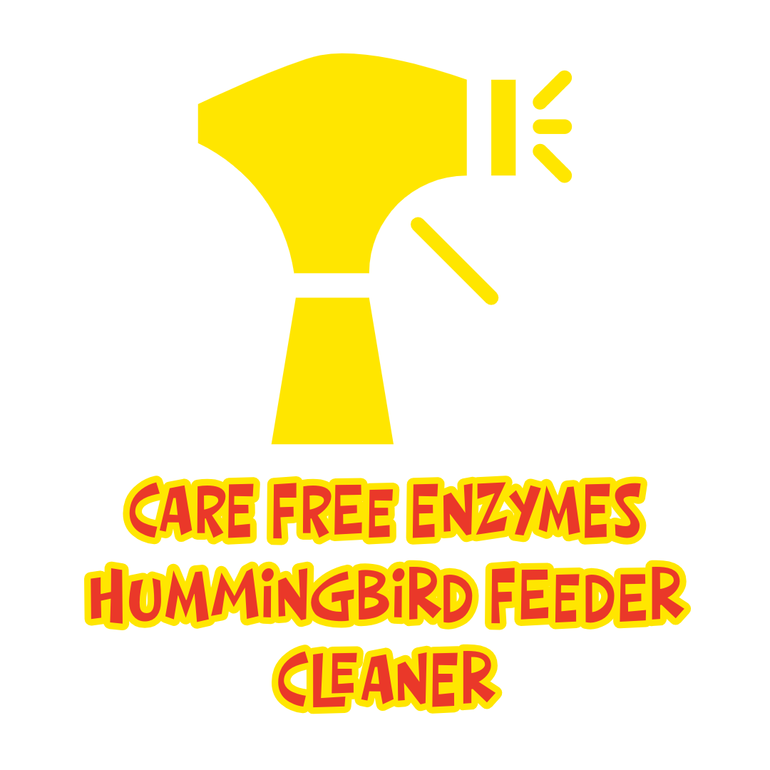 A Few Different Ways to Clean Your Hummingbird Feeders