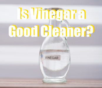 Is Vinegar a Good Cleaner for Hummingbird Feeders?