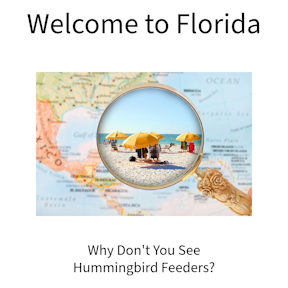 Do Floridians Buy Hummingbird Feeders?