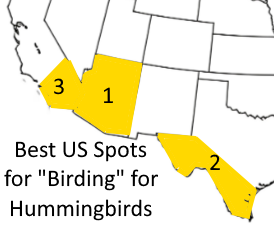The Best Places for Your Next Hummingbird "Birding" Trip