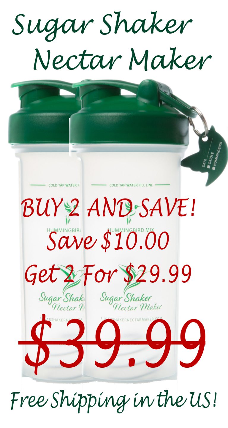 How to Make Oriole Nectar Sugar Shaker Nectar Maker Perfect