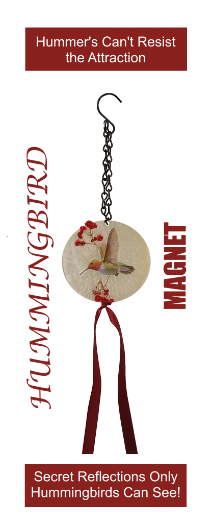 Hummingbird Magnet featured image